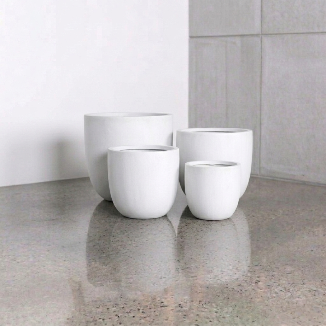 Asher 煮蛋器 - 白色