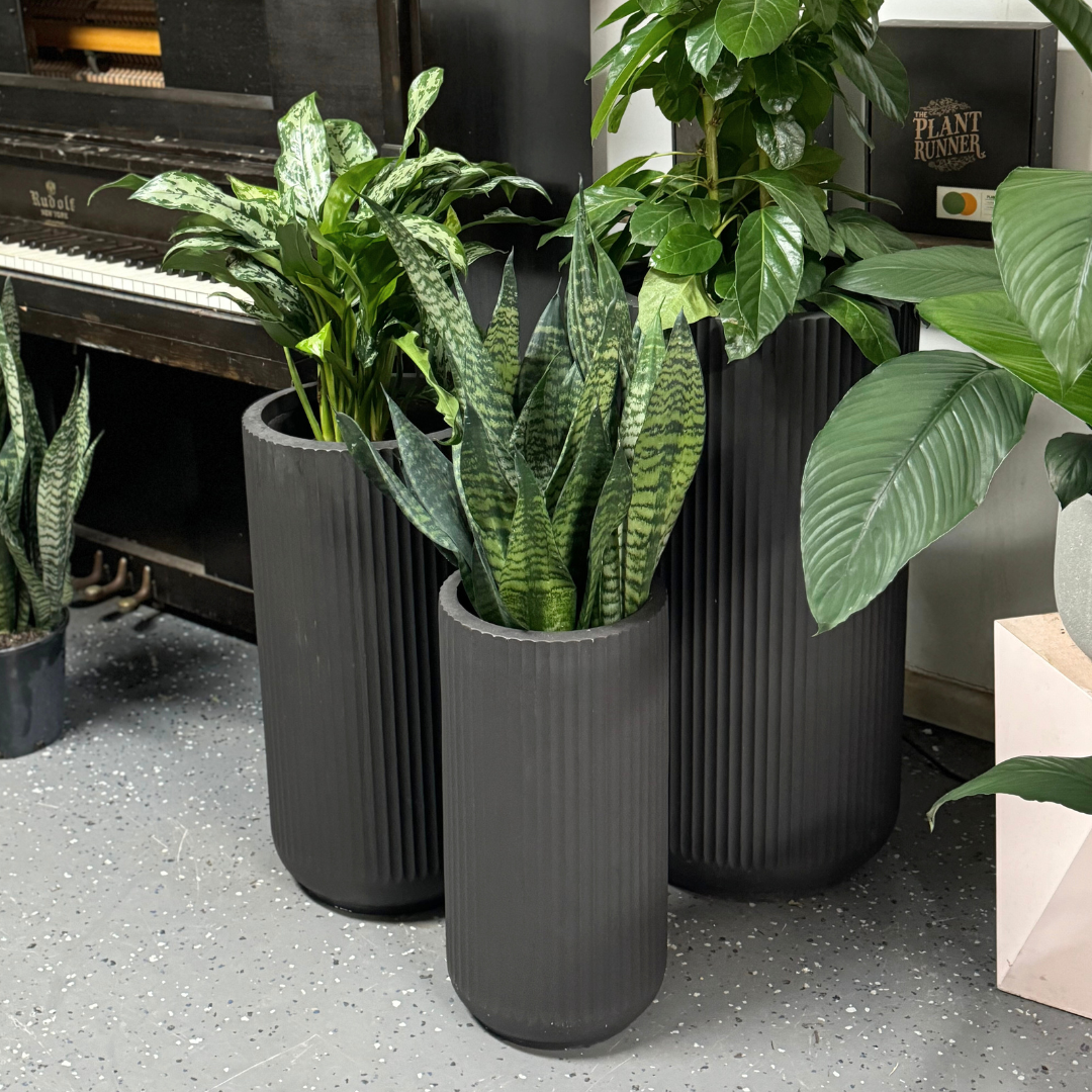 Corrugated Tall Planter Pot - Black