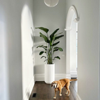 Corrugated Tall Planter Pot - White