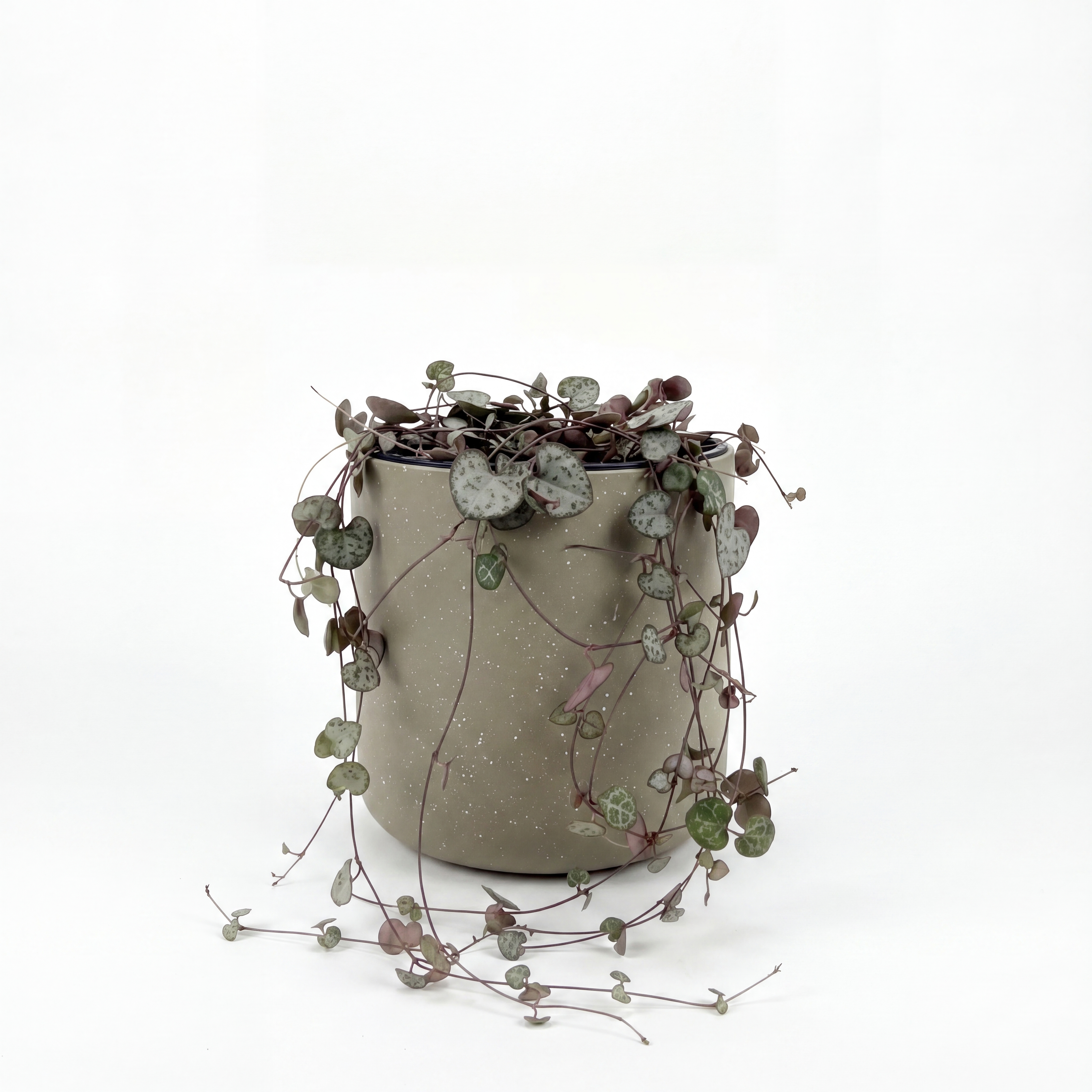 Small Chain of Hearts with Mia Pot - Olive Speckle