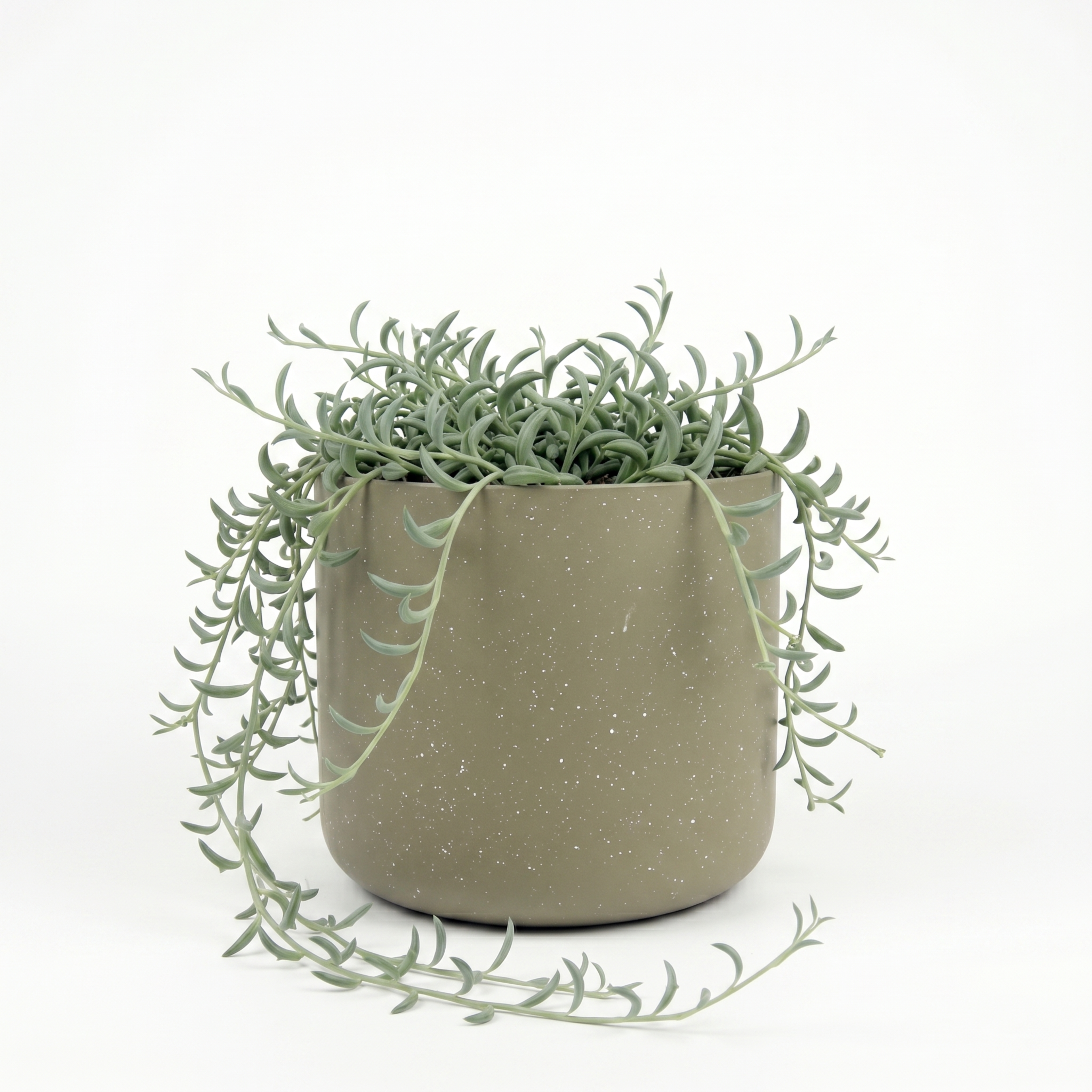 Small String of Banana with Mia Pot - Olive Speckle