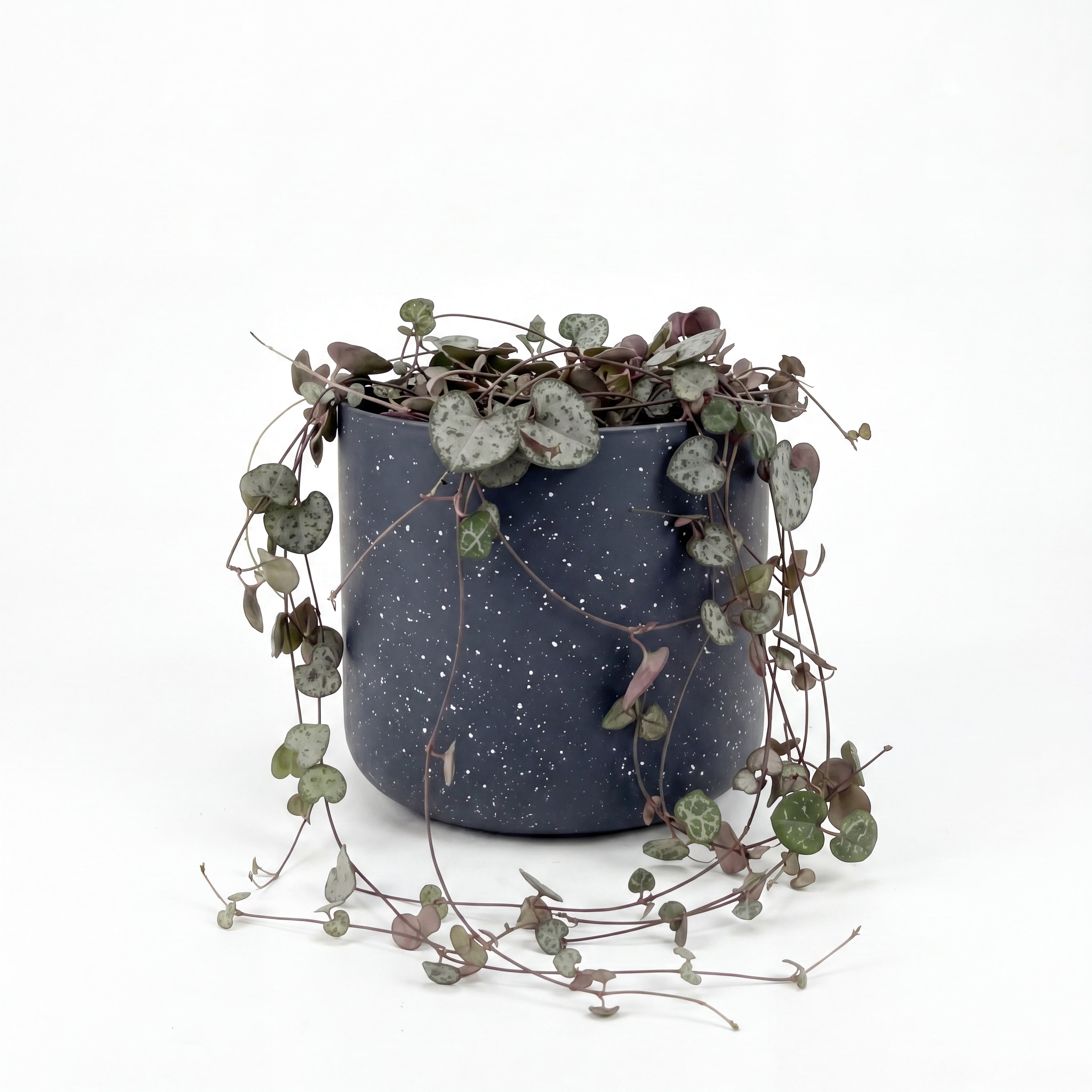 Small Chain of Hearts with Mia Pot - Charcoal Speckle