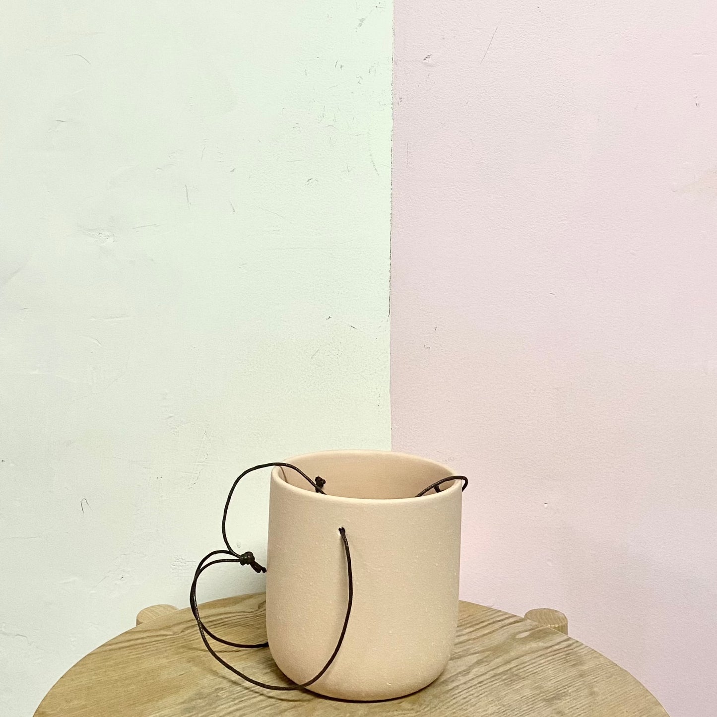 Hanging String Pot – Green Envy Indoor Plants