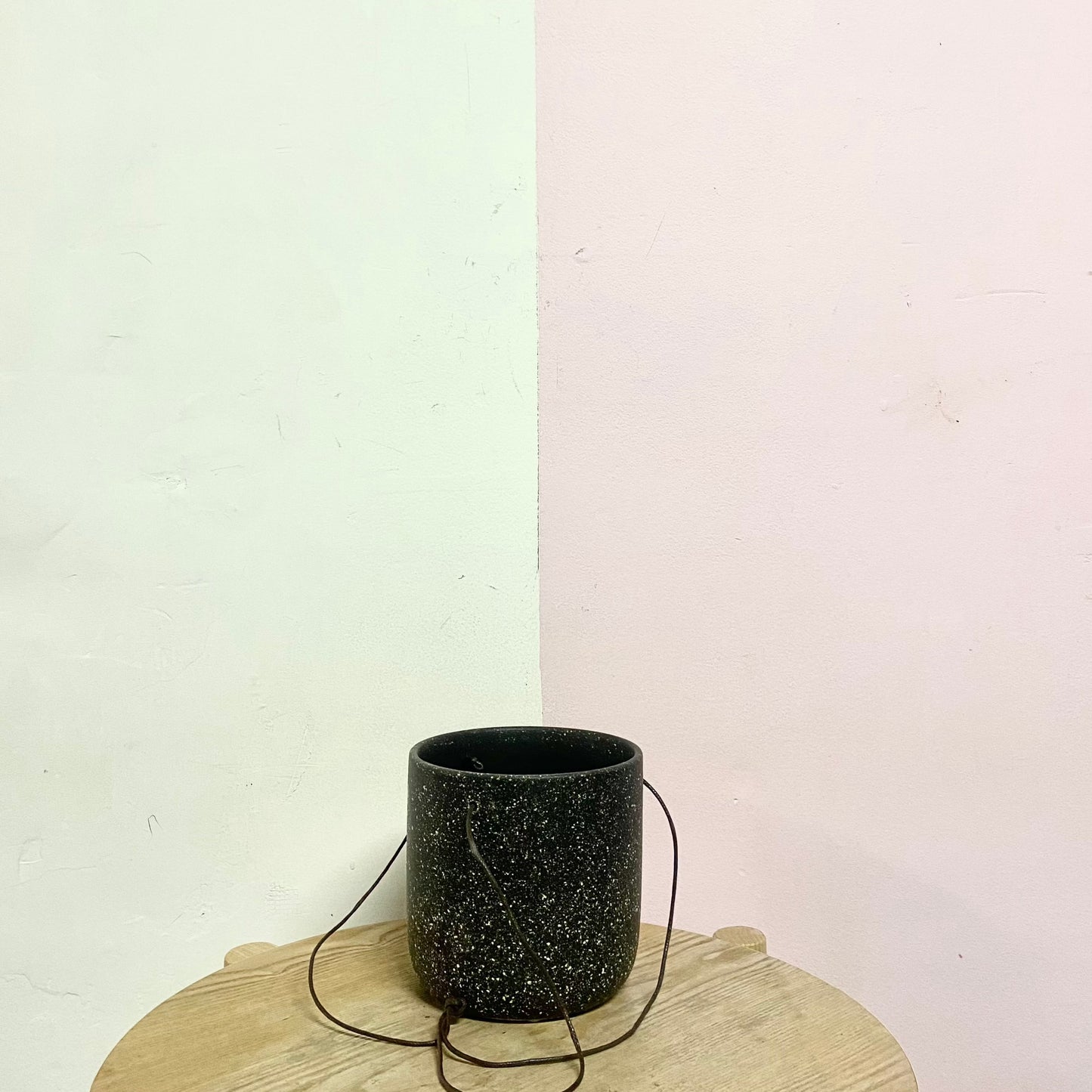 Hanging String Pot – Green Envy Indoor Plants