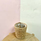 编织海草篮 棕褐色