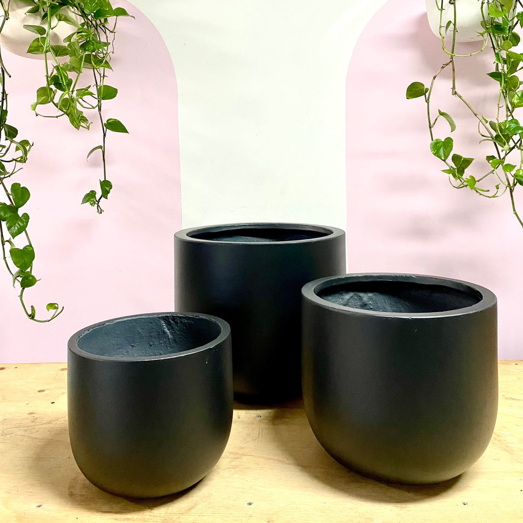 Urban Egg Pot in Black