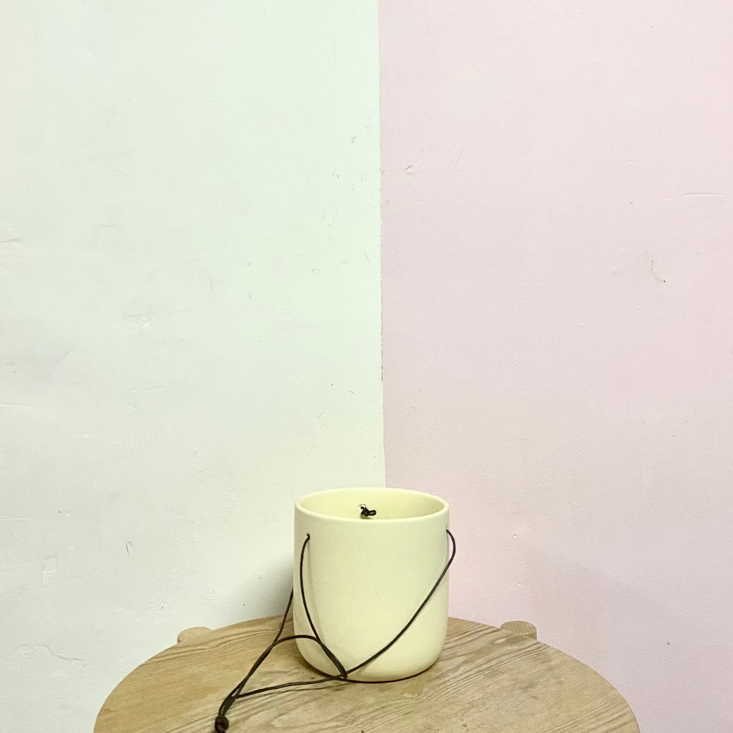 Hanging String Pot – Green Envy Indoor Plants