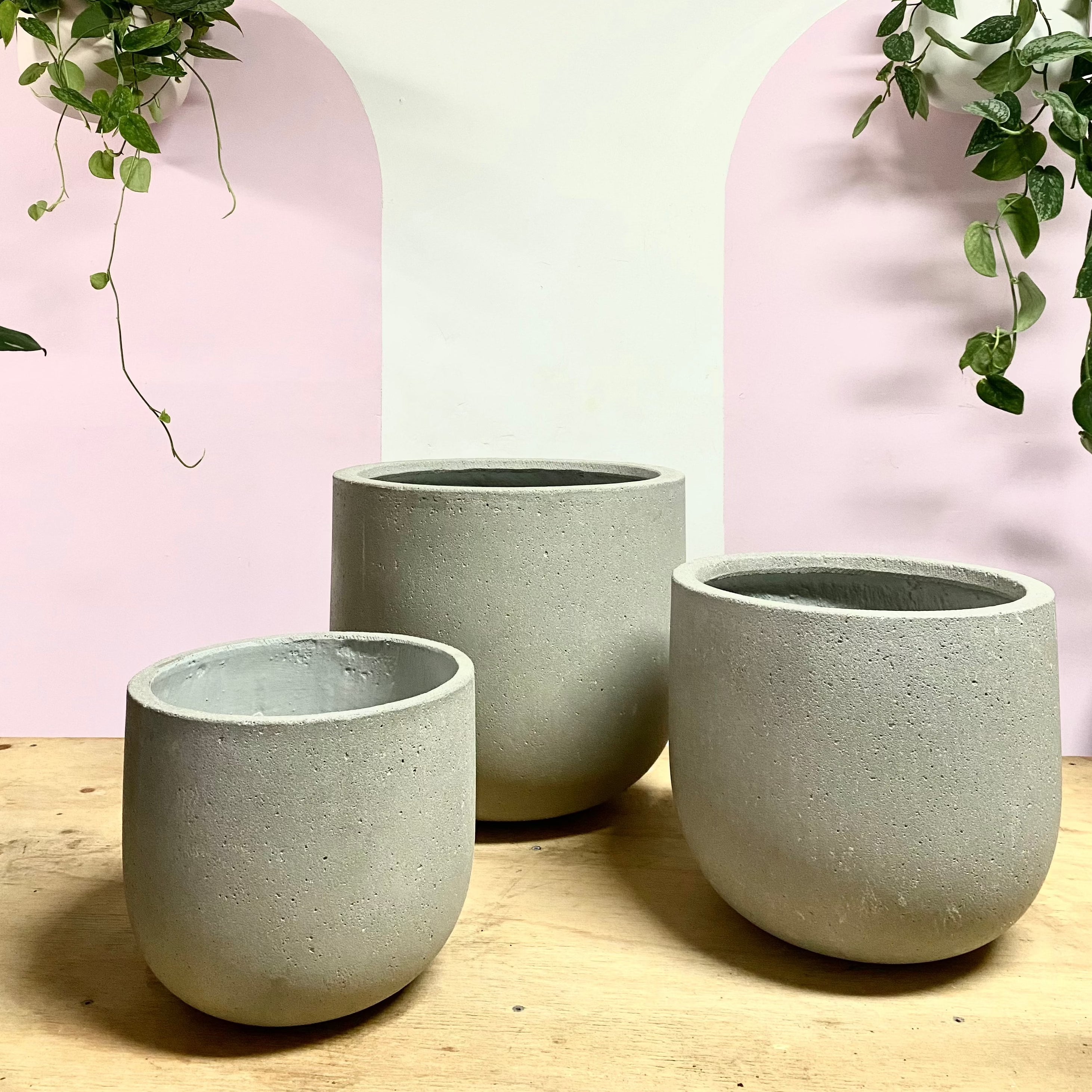 Urban Egg Pot in Cement