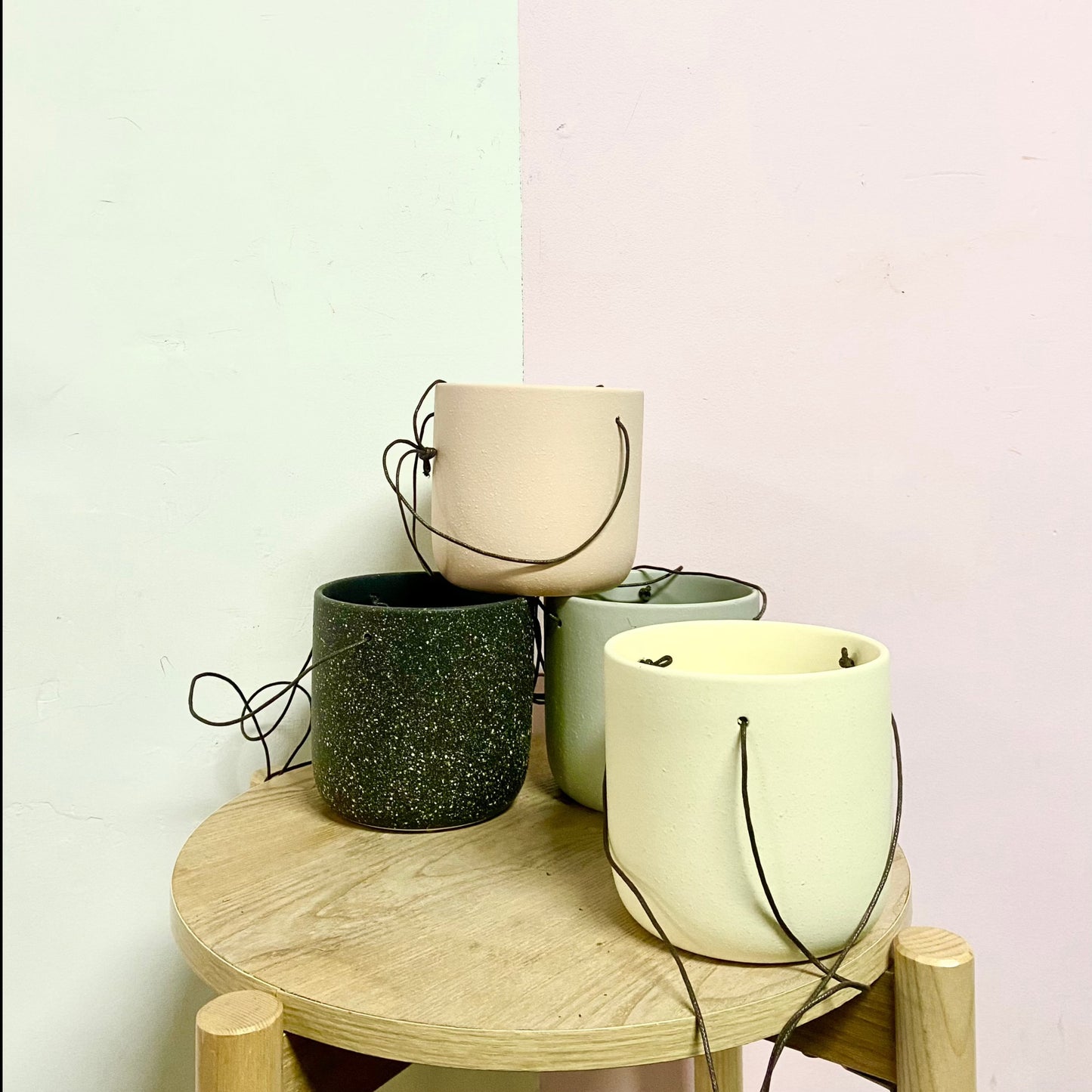 Hanging String Pot – Green Envy Indoor Plants