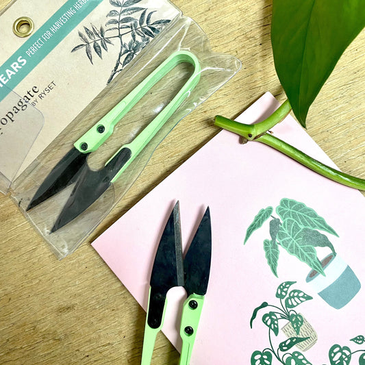 Mini Propagating Shears