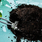 Plant Runner Potting Mix