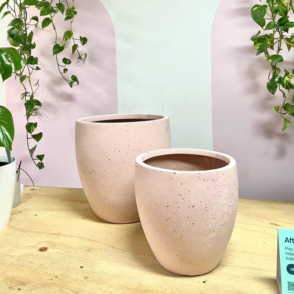 Atlas' Terazzo Fibreglass Pot