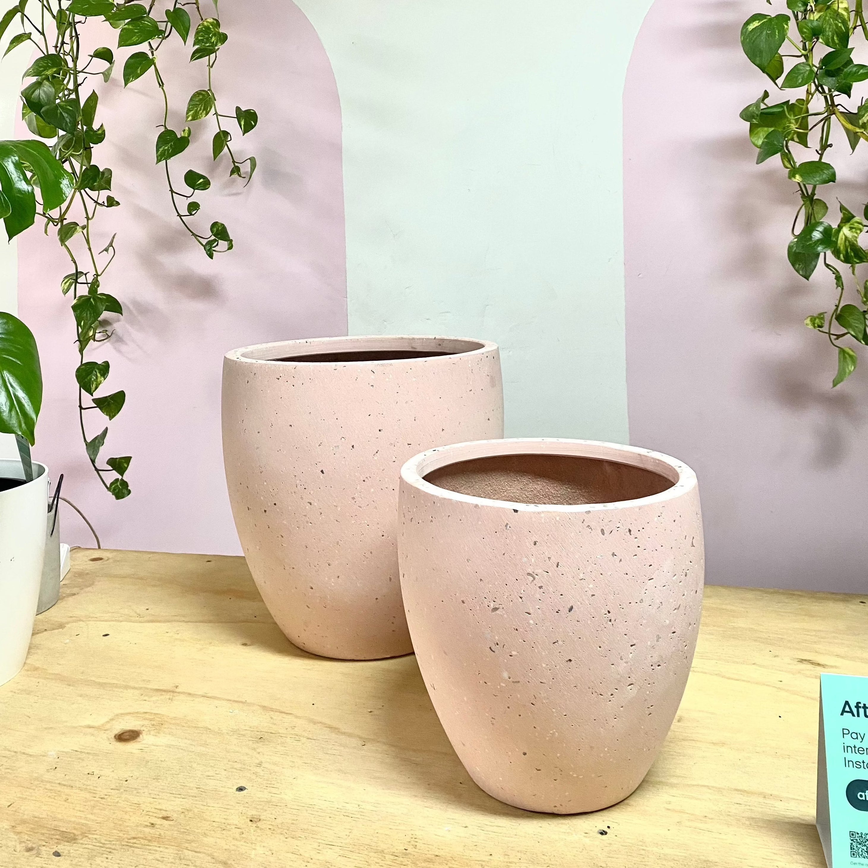 Atlas' Terazzo Fibreglass Pot