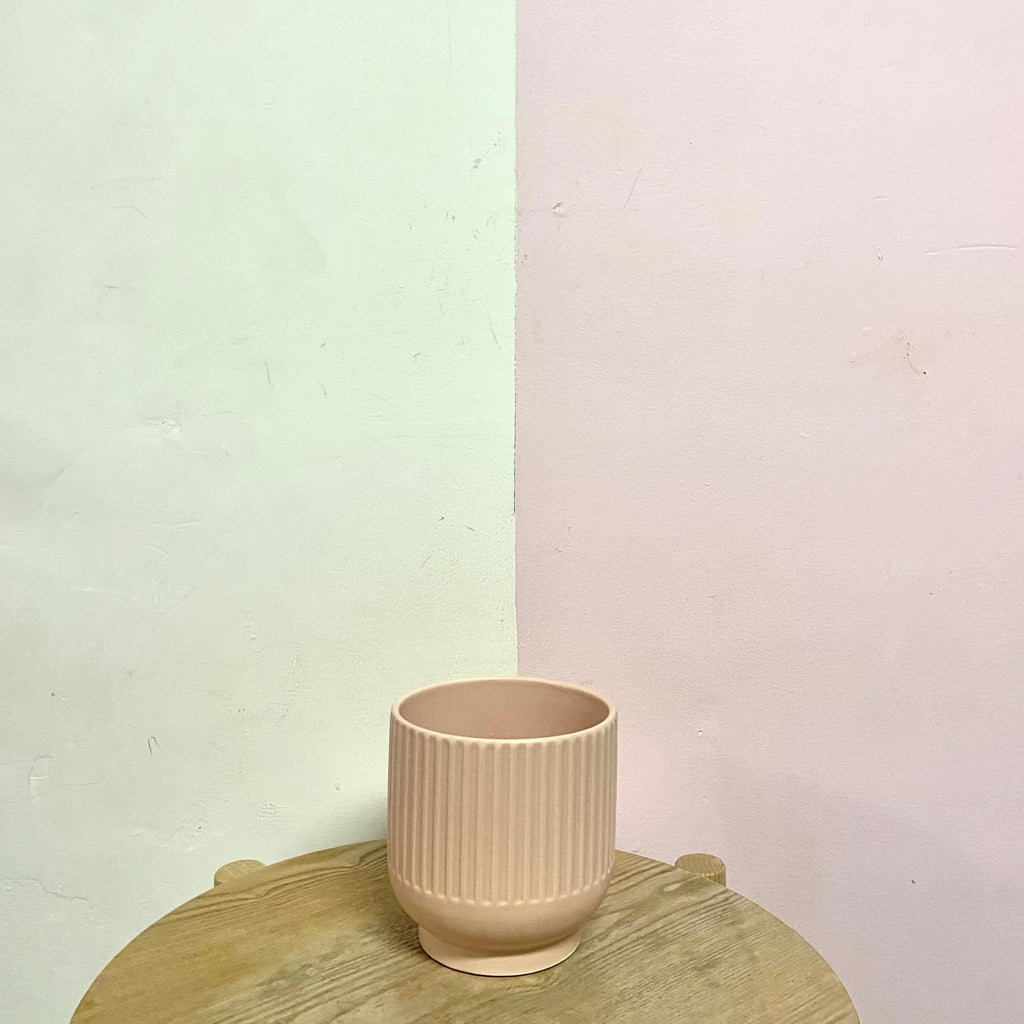Candy Pot