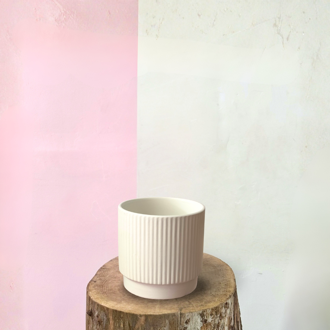 霧面白色垂直線陶瓷鍋