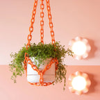 Plant Chain Hanger - Woljam