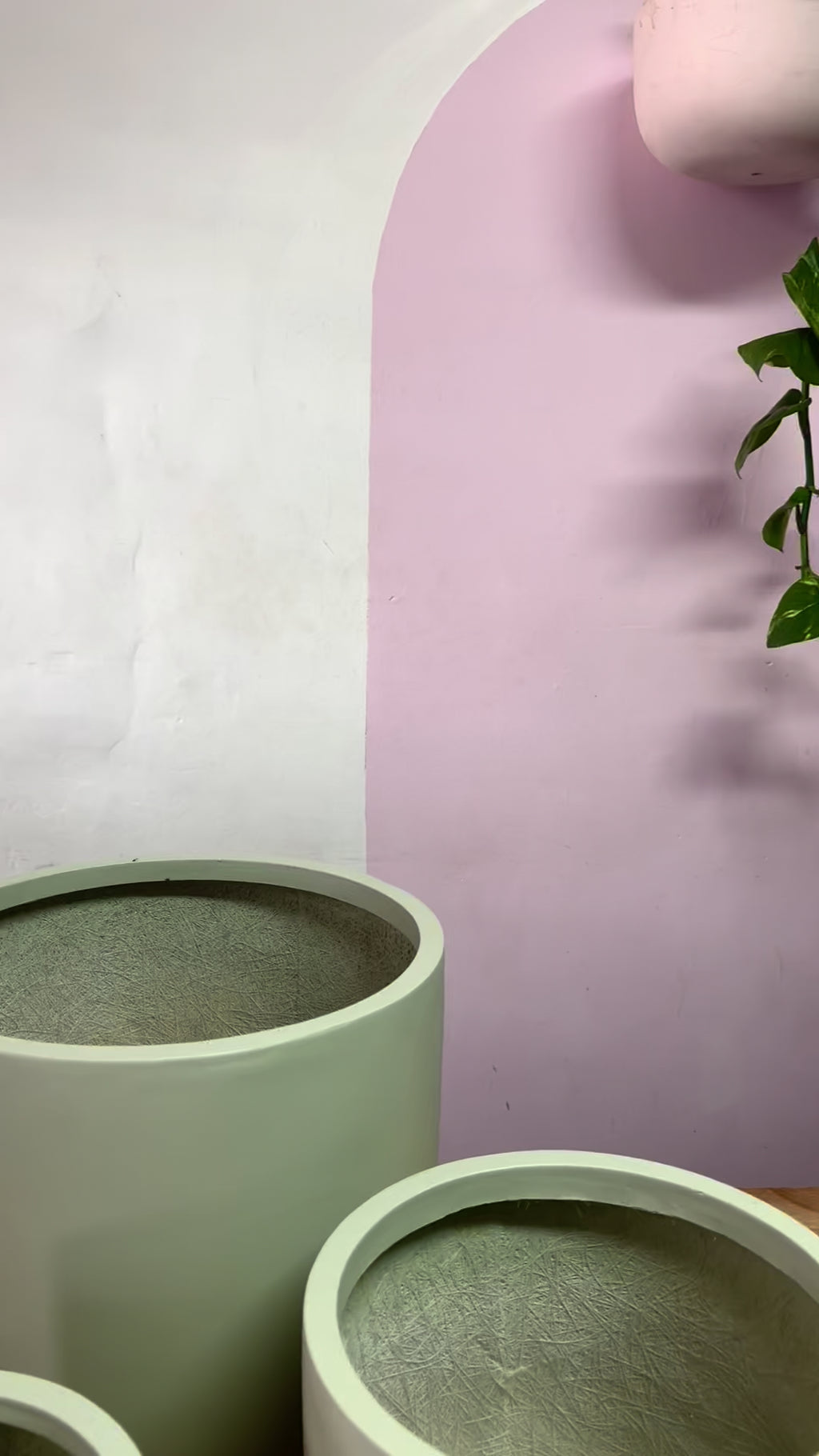 冬季鸡蛋罐 - 薄荷