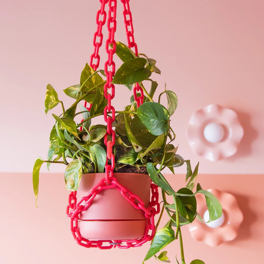 Plant Chain Hanger - Woljam