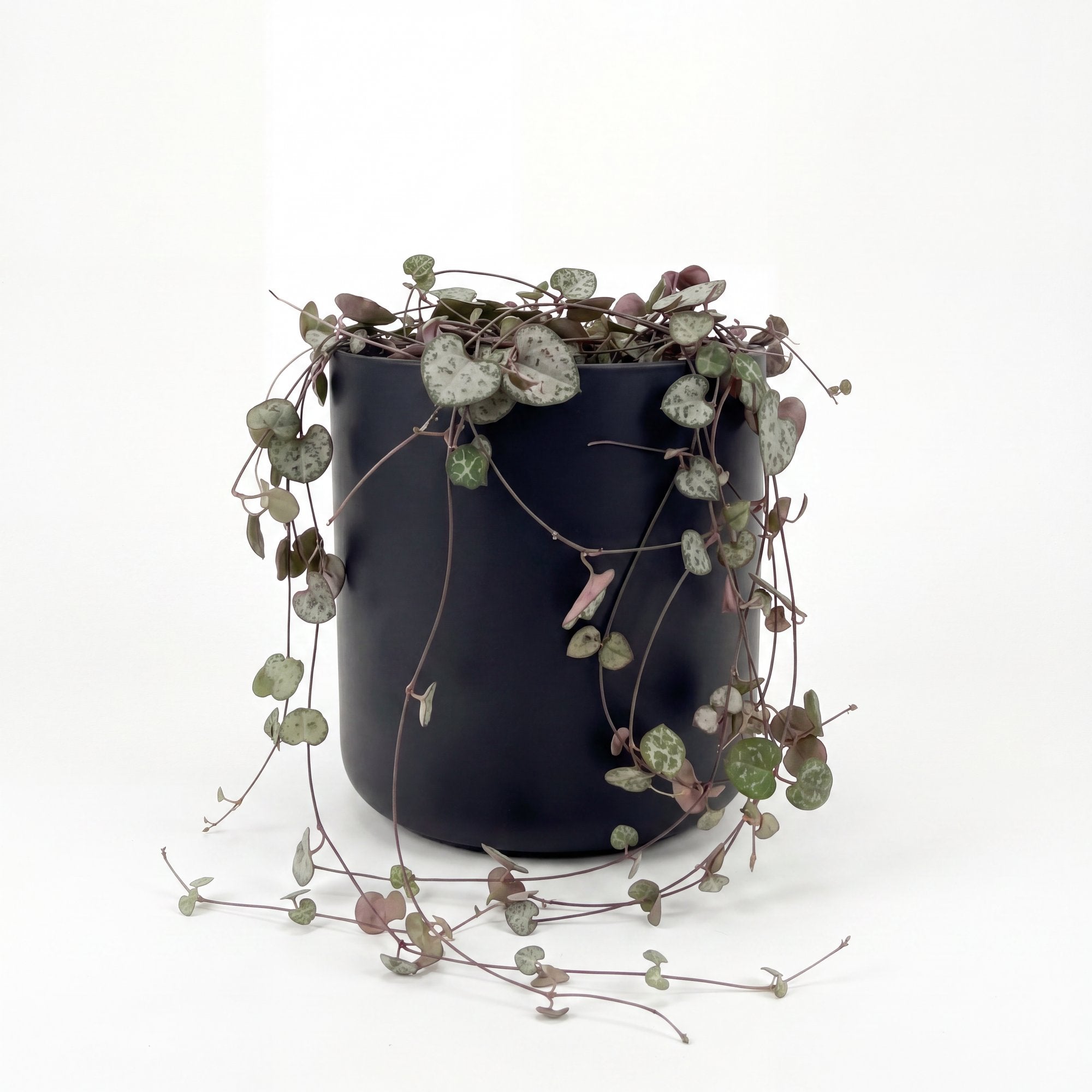 Small Chain of Hearts with Mia Pot - Black