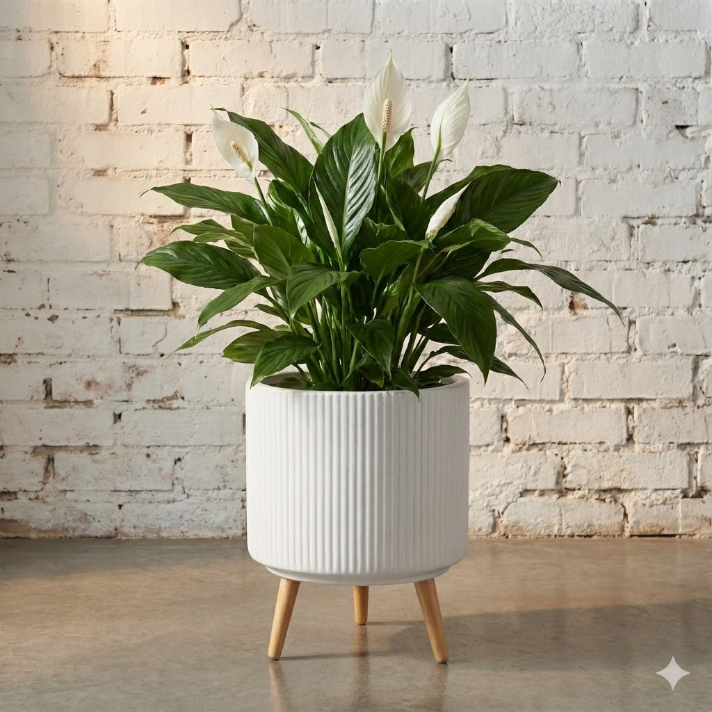 波纹圆柱罐 - 白色